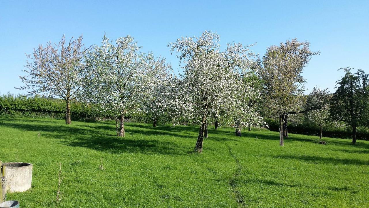 Hoeve Schevey Mechelen Luaran gambar